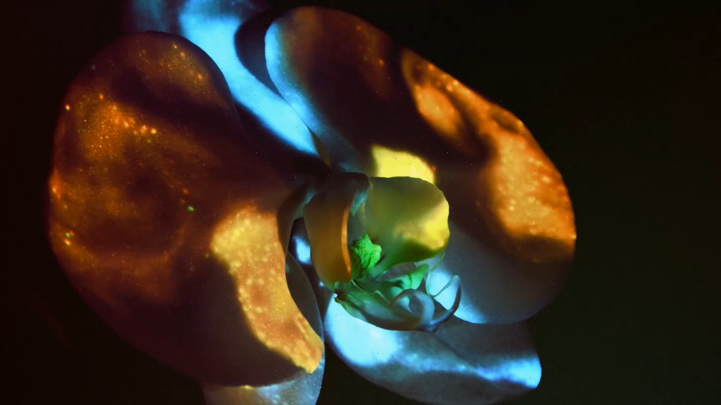 SCINTILLATION